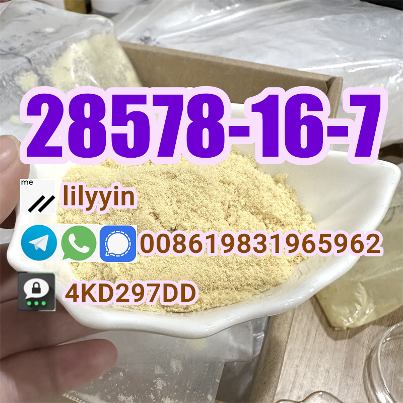 Supply High Purity 28578-16-7 PMK Powder